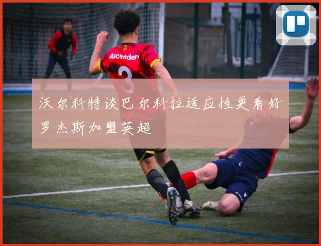 沃尔科特谈巴尔科拉适应性更看好罗杰斯加盟英超