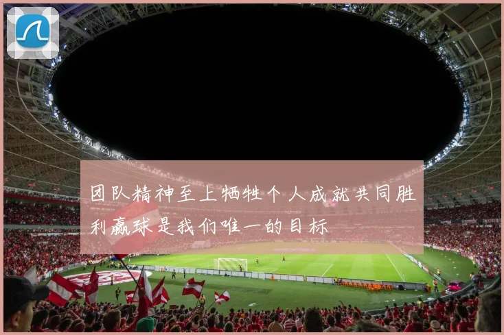 团队精神至上牺牲个人成就共同胜利赢球是我们唯一的目标