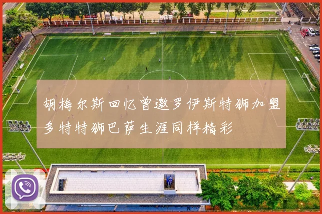 胡梅尔斯回忆曾邀罗伊斯特狮加盟多特特狮巴萨生涯同样精彩