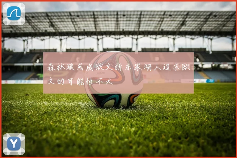 森林狼或成欧文新东家湖人追求欧文的可能性不大