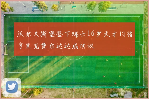 沃尔夫斯堡签下瑞士16岁天才门将亨里克费尔达达成协议